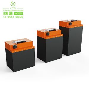 Cts Electric Vehicle Batteries With High Performance 48v 20ah Lithium Battery