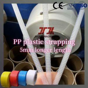 Industrial Custom Plastic PP Strapping Polypropylene Packaging Manual And