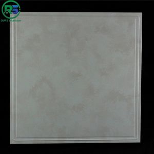 Wet Resistant Decorative Artistic Ceiling Tiles Drop For Kitchen And Washroom