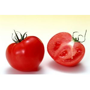 Cheap 100% Natural 5%-40% lycopene tomato extract by HPLC with rich experience in EU market for sale
