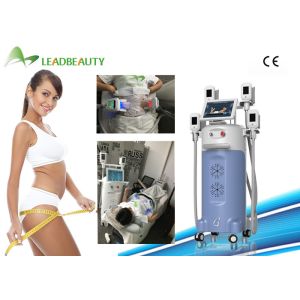 China Vertical Multifunctional Machine Medical CE Approved body slimming cryolipolysis machine on sale