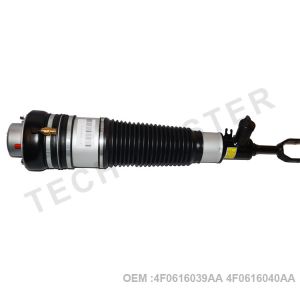 Audi A6 C6 Avant Air Suspension Spring Shock 4F0616039AA 4F0616040AA