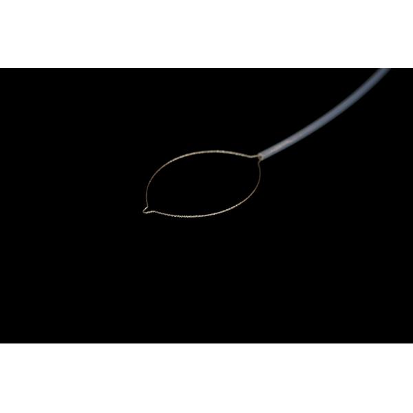 Clinical Operating Standard Snare For Polypectomy Disposable Using