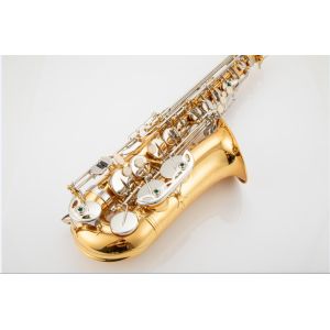 Saxophone china factory Fast Delivery Eb Sax Chinese Best Quality Professional