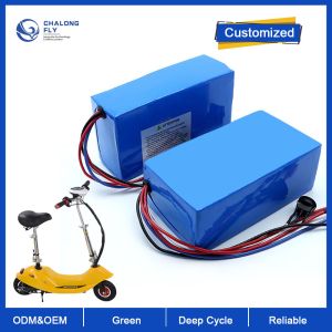 China LiFePO4 Lithium Battery OEM ODM 24V 36V 60V 72V Rechargeable 12AH 20AH 24AH Mobility Foldable Electric Scooter Battery on sale