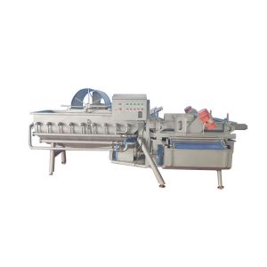 50HZ 4KW 1000KG/H Vegetable Vortex Cleaning Machine