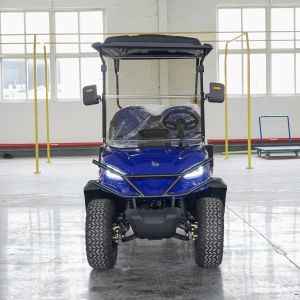 2025 Electric Golf Cart Buggy 2/4/6 Seater OEM Customizable China Factory Direct