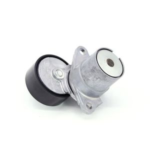 06k903133a g Custom Professional Automatic Auto Alternator Belt Tensioner For