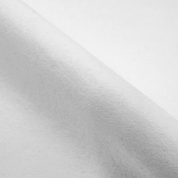 Quality Compostable Woodpulp Viscose Spunlace Nonwoven wholesale