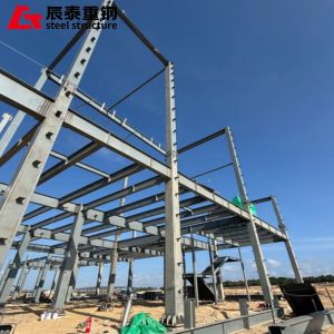 Custom High Rise Steel Structure Building Residential Steel Frame Construction