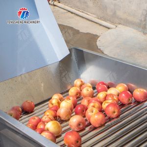 Fruit bubble washing and sorting production line Fruit Vegetable FOOD processing