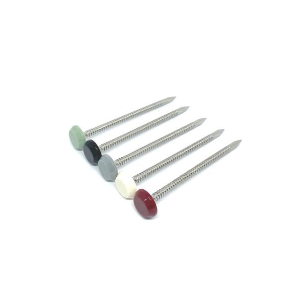 Quality 65MM Length Nylon Plastic Head Nails With Ringed Shank wholesale