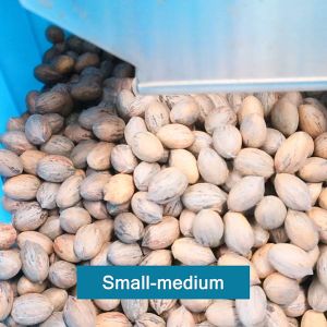 1-2 Tons Capacity Pecan Sorting Machine 8 Exits With CE Certificate 380V