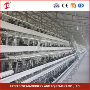 Cheap Poultry Q235 Steel Wire Chicken Battery Cage With Automatic Drinker Accessories Sandy for sale