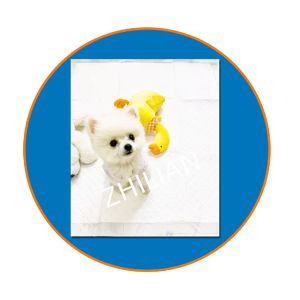 800mm Width Pet Training Pad Pet Pad Machine 200m/min 350 m/min