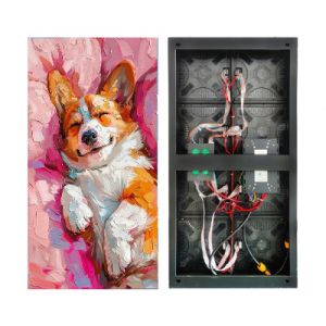 P2.6 Indoor Fixed LED Display Front Maintenance 500x1000mm For Churches