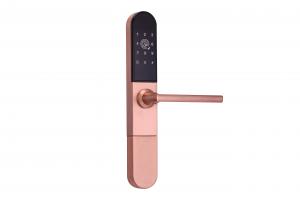 China Smart Lock Door zinc Alloy App Control Smart Aluminium Door Locks For Sliding Door on sale