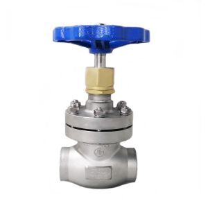 Stainless Steel Low Temperature Globe Valve Short Stem For LNG/LOX/LN2/LAR/LCO2
