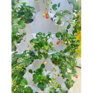 65L 12 Layer 96 Holes Indoor Movable Vertical Farming Growing Systems Hydroponic