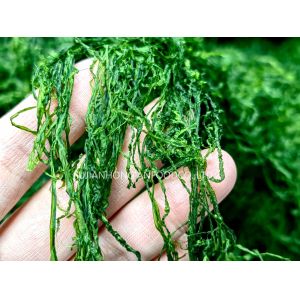 Cheap Haccp Crispy Prolifera Seaweed Strips Emerald Green 150g Resealable Bag For Snacks Sushi for sale