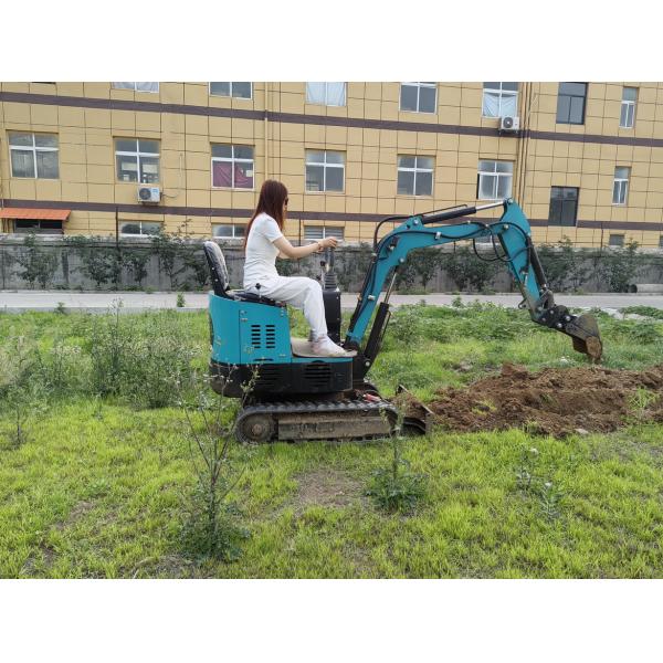 mini Excavator 0.025 M3 operating weight 1000kg very low price for garden or parks
