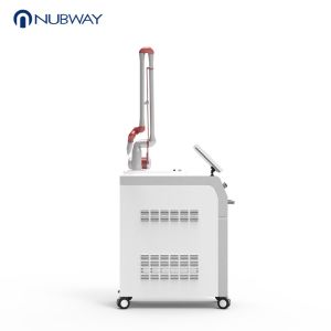 Q-Swtiched Nd Yag Laser Machine 1000W power 1-10Hz Pulse rate Input voltage