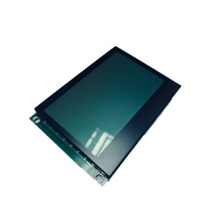 Custom 2.5 Inch Monochrome LCD Screen 240x160 Dot Matrix LCD Screen 600