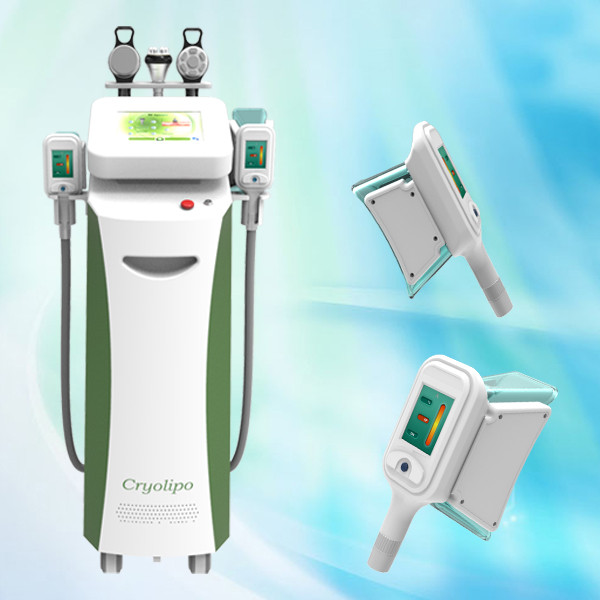 Quality Vertical Cryolipolysis Fat Freezing Machine with 4 handpieces wholesale