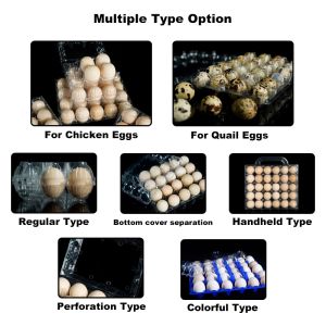 Transparent Plastic Egg Trays Egg Box Free Shipping Plastic Egg Tray with Handle