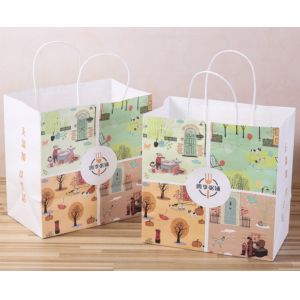 Embossed Printing Paper Bag 250gsm Printed Paper Carrier Bags