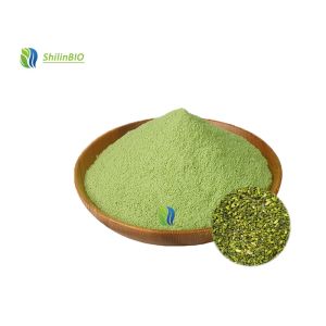 China Supplements 98% Quercetin Natural Sophora Japonica Extract 98% Quercetin Powder on sale