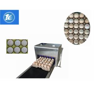 12V 4A Whole Disk Egg Expiry Date Stamp Machine With Software Easy Operation