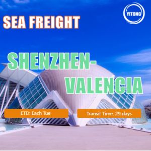 China Shenzhen China To Valencia Spain International Sea Freight Services 29 Days on sale