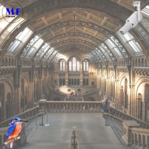 5 Years Warranty 4000K Projection Light Shapable Track Light With Black/White