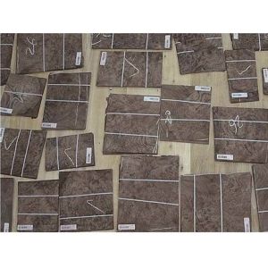 0.6mm Good Quality Walnut Burl Veneer for Furniture/Cabinet usage