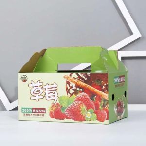 Revolutionizing Packaging: Single Pass High-Speed Digital Inkjet Printing On