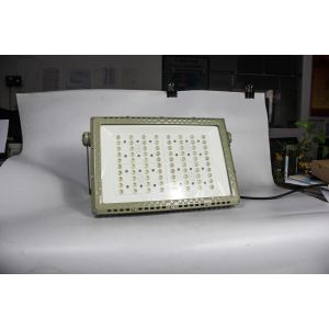 50000H Lifespan ATEX Explosion Proof LED Roadway Light 250W | CNEX Certified