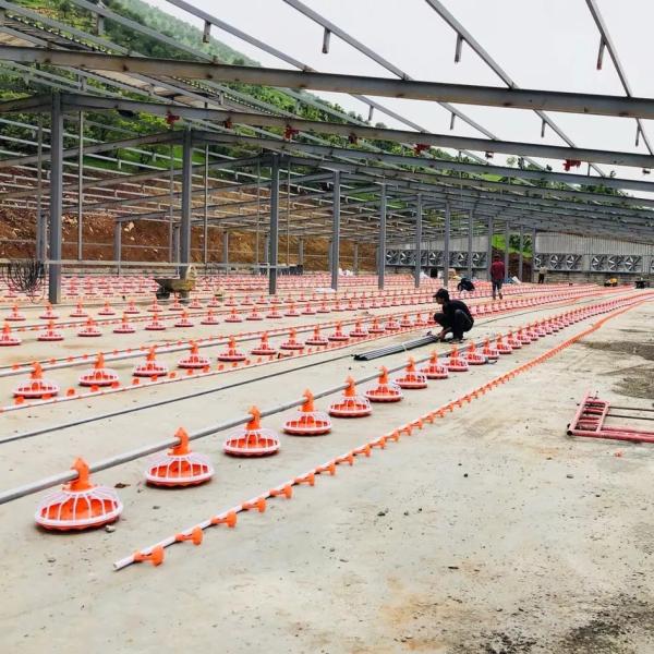 Quality 220V 380V Automatic Feeding System For Poultry Dia 45mm wholesale