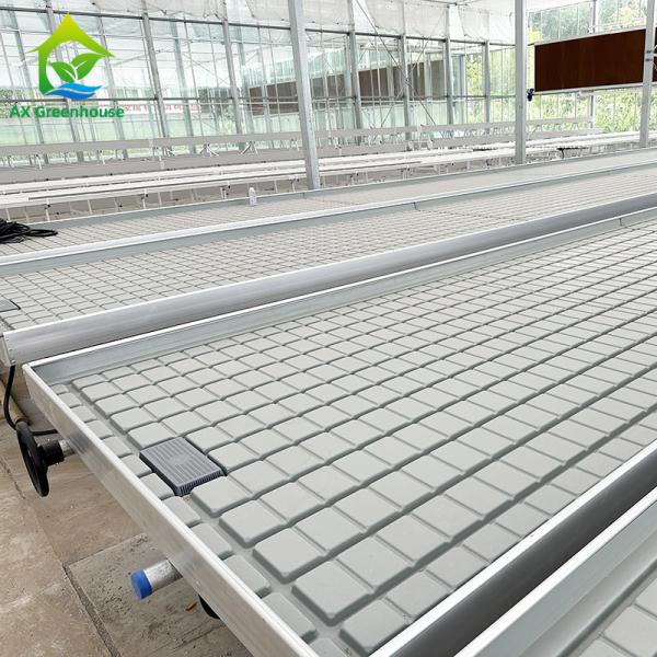 Quality Soilless Hydroponic Indoor Ebb And Flood Seedbed Nursery Grow Table Rolling Bench wholesale