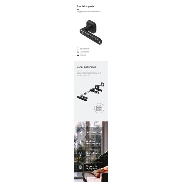 Smart Lock R11