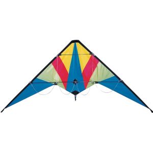 Cheap Dual line Delta stunt kite good sharp sports kites for Spring season for sale
