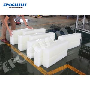 Long Service Life Block Ice Maker with Brine System and Ice Crusher 5000 kilos