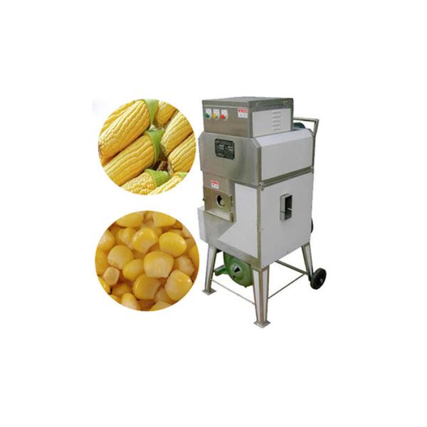 3kw Vegetable Processing Equipment Aloe Horseshoe Pineapple Orange Peeling