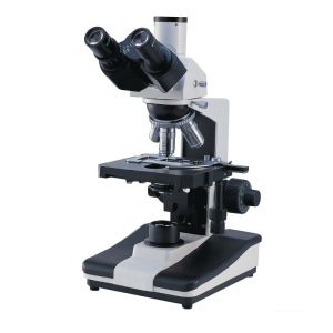 Cheap Adjustable Educational Halogen Lamp Microscope A11.0214 With Brightness Control for sale