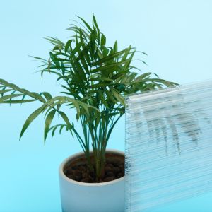 030 060 Polycarbonate Hollow Sheet Transparent Pc Sheet