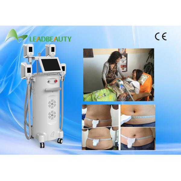 Professional slimming cryolipolysis slmming machine for sale/fat freezing