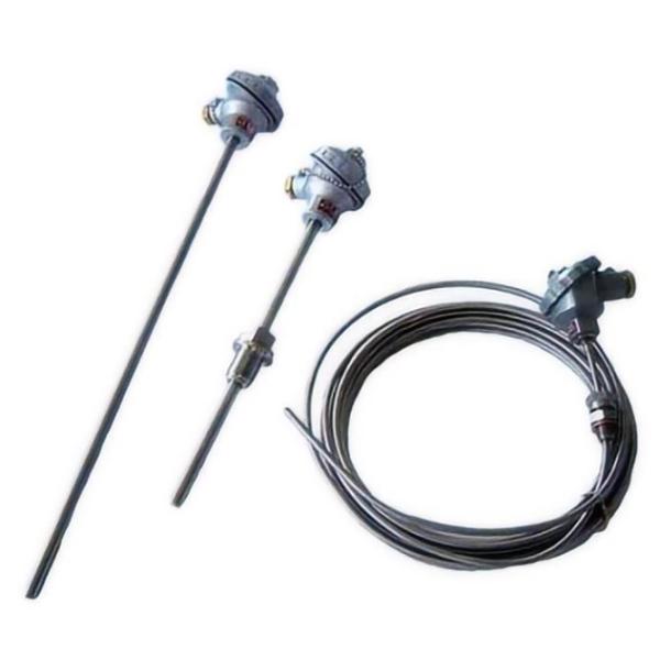 Quality WRNK2-221 WRNK2-231K armored thermocouple precision nickel chromium nickel silicon waterproof and splash proof temperature probe rod WRNK-501 WRNK-521 WRNK-531 WRNK-581 WRNK-587 WRNK-591 WRNK-502 WRNK wholesale