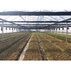 Rustproof Galvanized Greenhouse With Anti-Hail Plastic Film For Harsh Climates