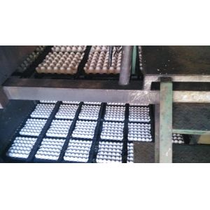 Recyclable Pulp Egg Tray Machine , Coffee Cup Tray Machine 380v