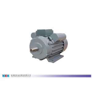 China Food Processing Electric 1 Phase Motors 230V Quick Stop on sale